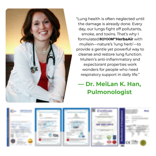 BQYOOM™ HerbaAir Mullein Lung Purifier - Image 4